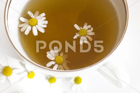 Food camomile drink health herb tea yellow Stock Photos