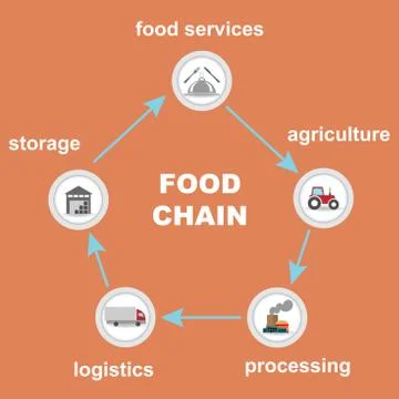 Food chain Stock Illustration