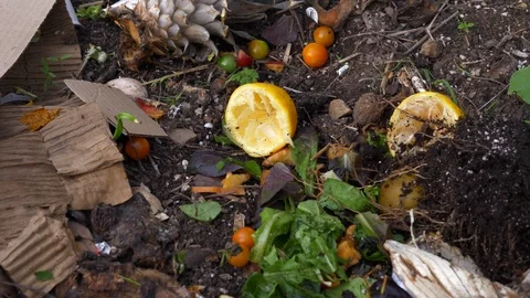 Food Compost Pile Stock Footage 96325206