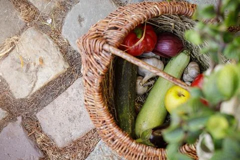 Food concept close up pattern rustic basket fresh vegetables stood on central Stock Photos