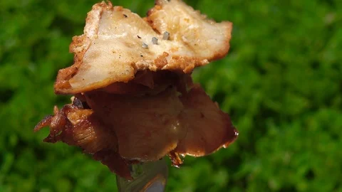 Food concept. Meat on the fork. Stock Footage 96230482