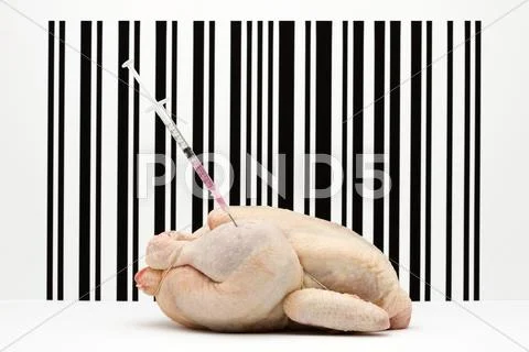Food Concept, Raw Whole Chicken With Syringe Stuck In Thigh In Front Of Bar Code