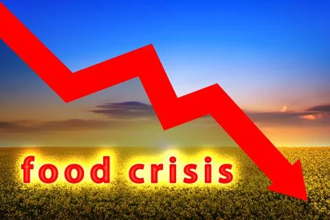 Food crisis. Wheat supply problems worldwide. Lack of flour and bread. Stock Illustration