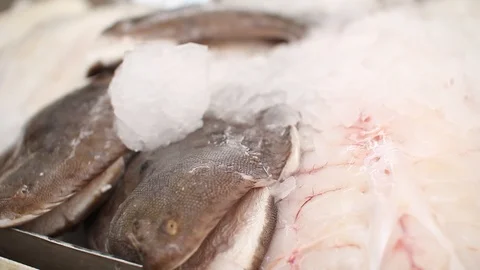 Food &amp; Drink Stock Footage 102663478