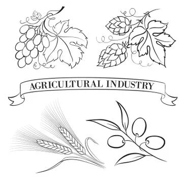 Food emblems and labels. Stock Illustration
