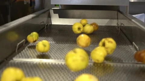 Food Factory. Fruit juicing.  Processing and Storage of quails. Modern factory. Stock Footage 133120890