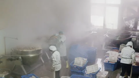 Food factory workers processing meat in a large industrial kitchen Stock-Footage 333216546