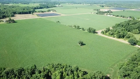 Food fields a plenty Stock Footage 94314959