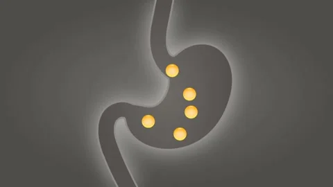 Food Flow Animation in the Digestive System Stock Footage 317144017