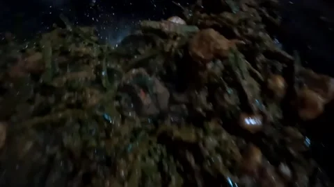 Food Video stock 226805860