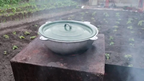 Food Stock Footage 246498847