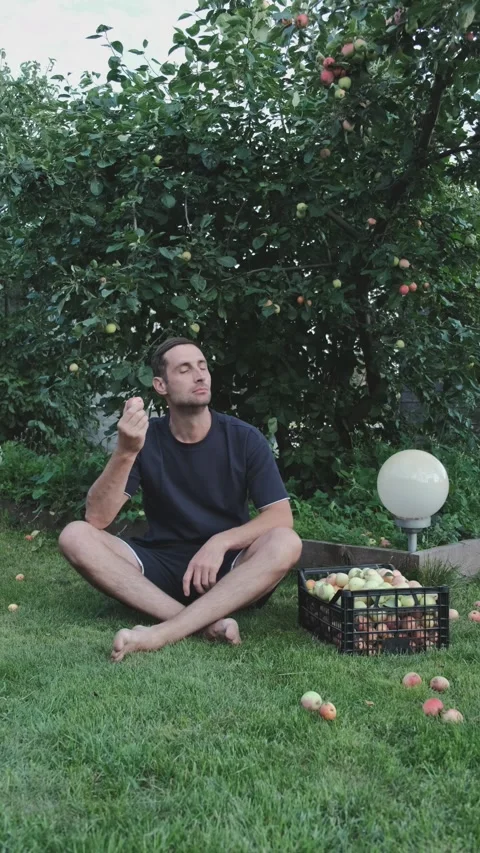 Food Stock Footage 246688545