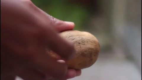 Food Stock-Footage 263275813