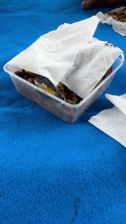 Food Видео 339247407