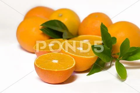 Food fruit leaf citrus eat green health orange Stock Photos