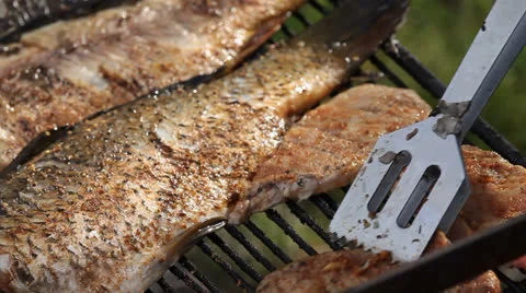Food on grill Stock Footage 23372777