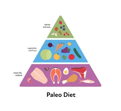 Food guide concept. Vector flat modern illustration. Paleo diet pyramid infog Stock Illustration