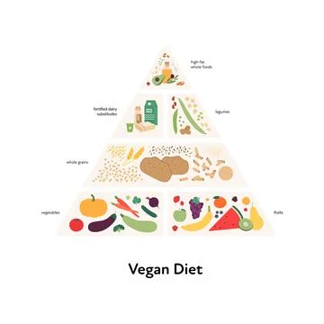 Food guide concept. Vector flat modern illustration. Vegan diet infographic p Stock Illustration