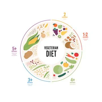 Food guide concept. Vector flat modern illustration. Vegetarian diet infograp Stock Illustration