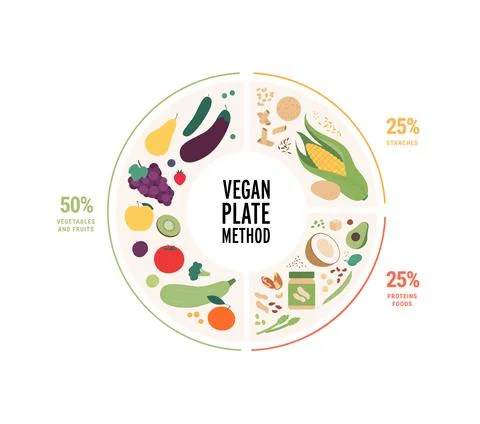 Food guide concept. Vector flat modern illustration. Vegan diet infographic p Stock Illustration