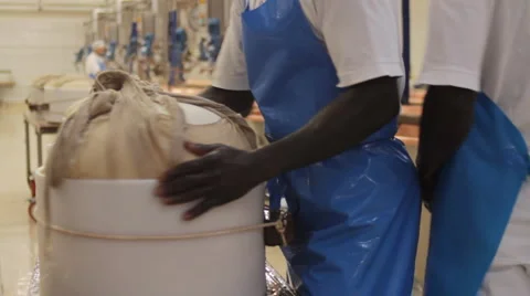 Food industry Stock Footage 1930631