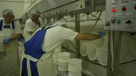 Food industry. Making cheese Stock Footage 44005345
