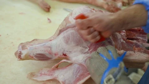 Food industry, meat processing. Butchers Cutting Pork Meat at a Meat Factory. Stock Footage 99552149