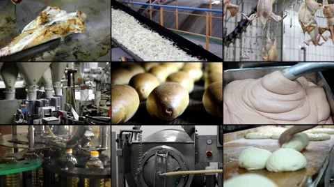 Food industry multiscreen Stock Footage 4662303