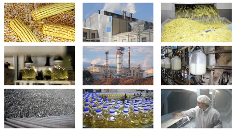 Food Industry Multiscreen Video stock 34313641