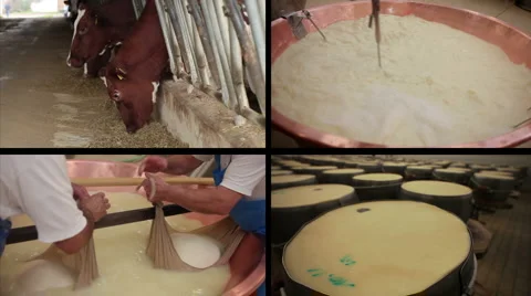 Food industry split screen Stock Footage 5965517