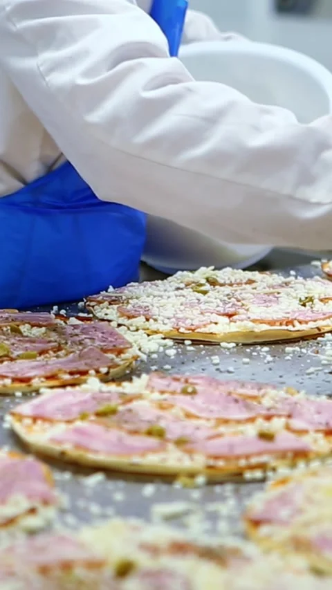 Food industry workers preparing pizzas in a factory Stock Footage 302809002
