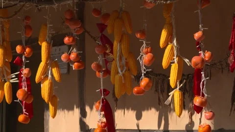 Food Ingredients Drying Under the Sunlight Stock Footage 334511285