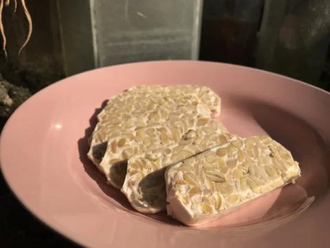 Food made from fermented soybeans called tempeh. 库存照片