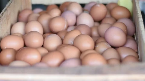 Food material Stock Footage 243274185