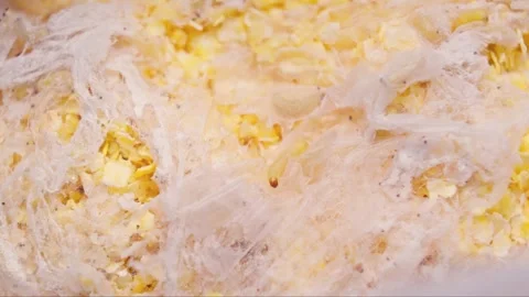 Food moth. Corn flakes infested by moth larva. Moth larva crawling on surface. Video stock 263504093