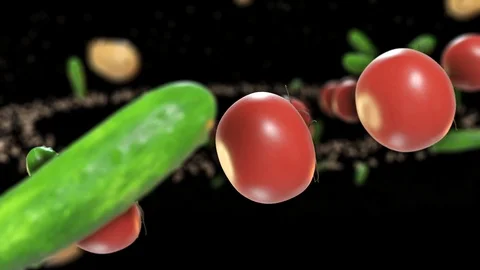 Food In Motion 3 Stock Footage 86802709