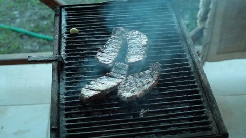 Food in nature Stock Footage 113200972