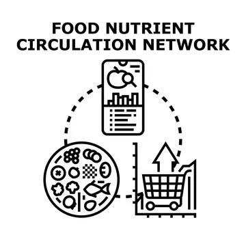 Food nutrient circulation network concept managing diet Stock Illustration
