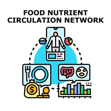 Food nutrient circulation network system for health Stock Illustration