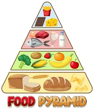 Hello brainies Label the food pyramid with different nutrients names   Brainlyin