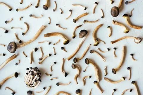 Food pattern mushroom Stock Photos