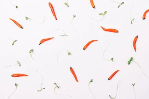Food pattern of small red cayenne peppers Stock Photos