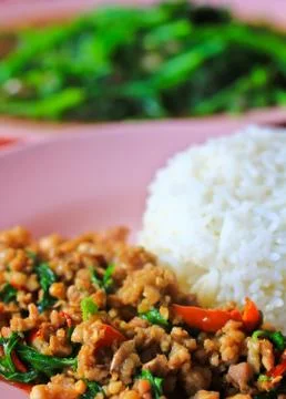 Food Stock Photos
