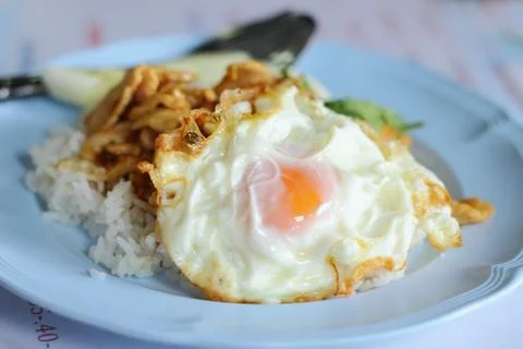 Food Stock Photos