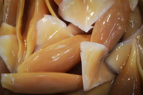 Food Stock Photos