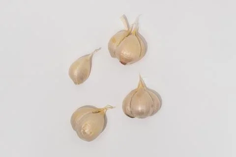 Food Stock Photos