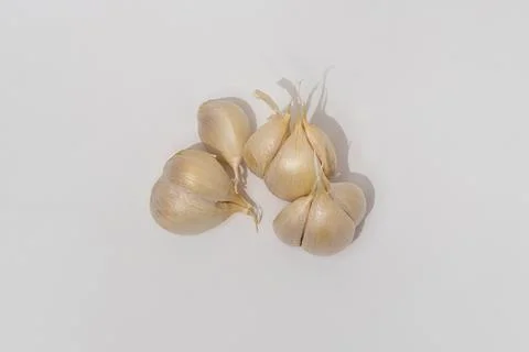Food Stock Photos