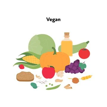 Food plate example concept. Vector flat illustration. Vegan vegetarian diet s Stock Illustration
