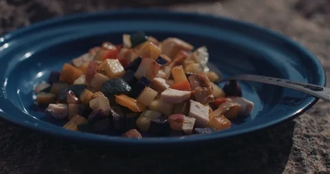 Food On A  Plate 스톡 동영상 105322477