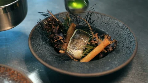 Food on a plate Video stock 110859245